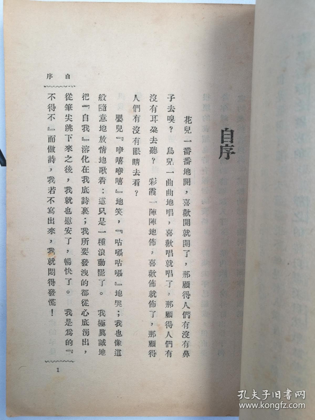 ae6a415a9a3f3a8e_b.jpg