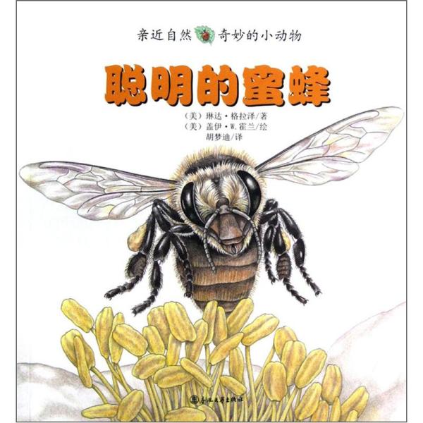 蜜蜂视频大自然真实 b05733f6c00f2091_n.jpg