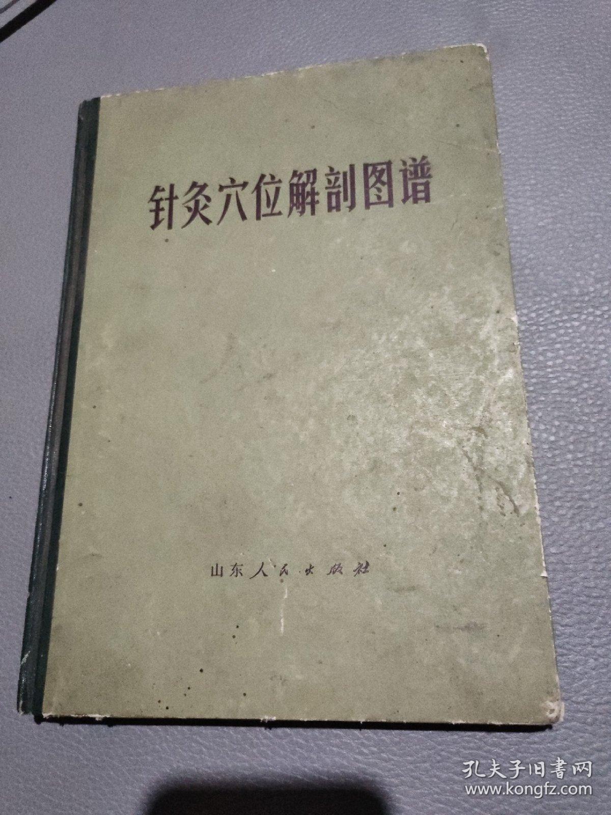 针灸穴位解剖图谱