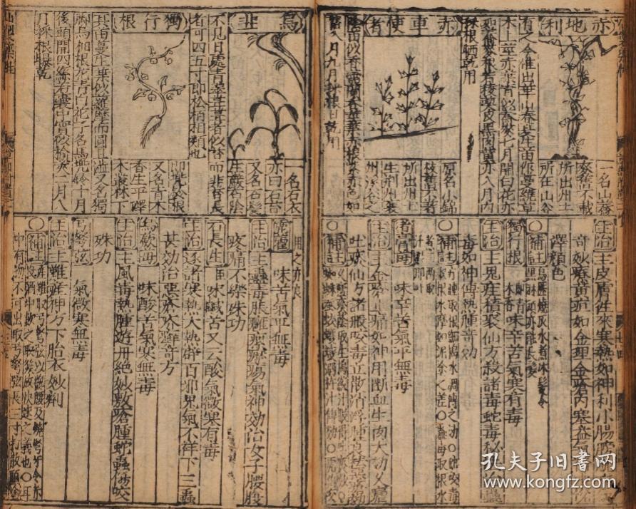 《新刻太乙仙制本草药性大全》八卷,王文洁撰.