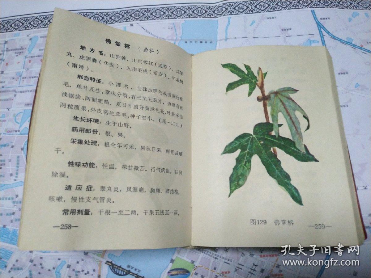 实用中草药(选载闽南地区中草药310种,并附全彩图310幅,处方一千多条)