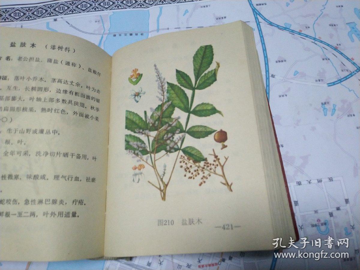 实用中草药(选载闽南地区中草药310种,并附全彩图310幅,处方一千多条)