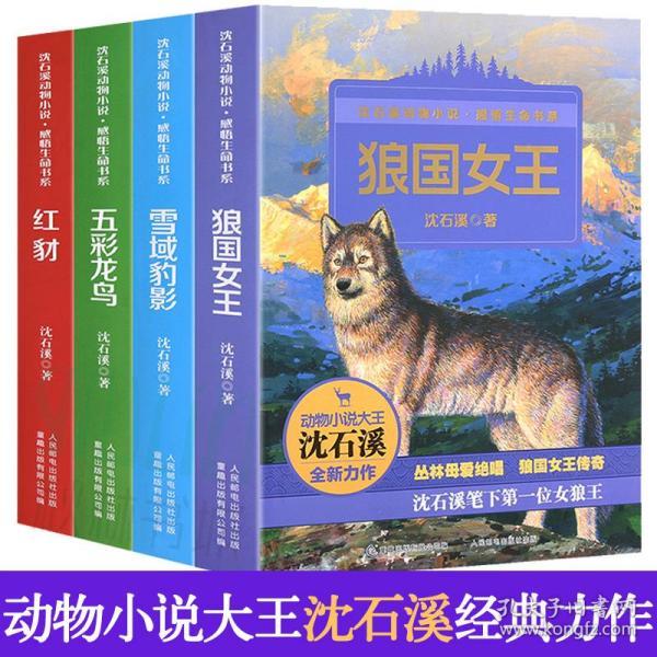 沈石溪激情动物小说 雄鹰金闪子