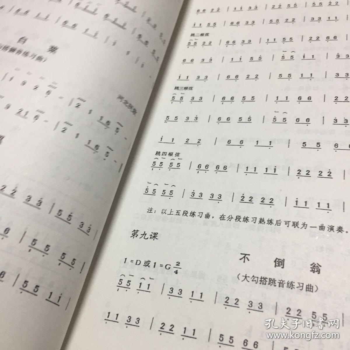 杨娜妮古筝教程