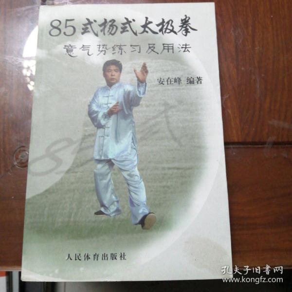 85式杨式太极拳意气势练习及用法