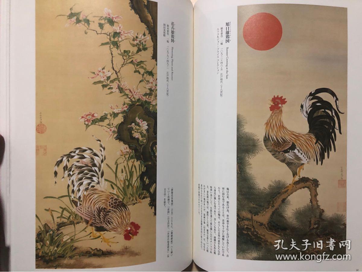 现货 伊藤若冲作品集 日本狩野派绘画大师 日文原版艺术图书