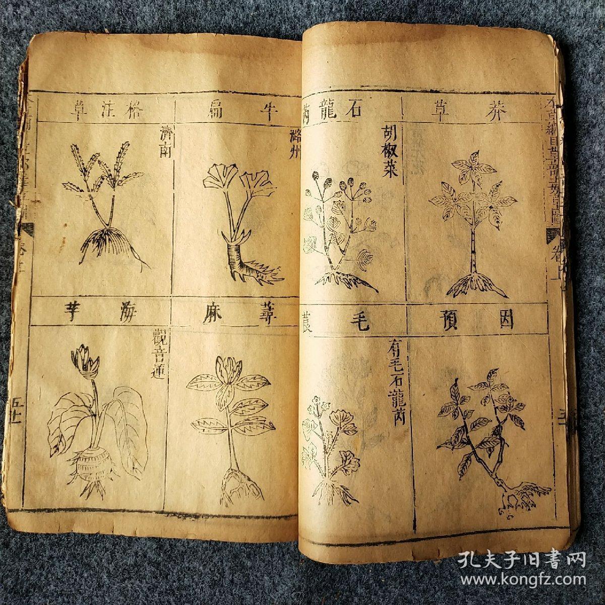本草纲目图 存1册 草部山草类,草部蔓草类,毂部豆类菜类,石部等等 均
