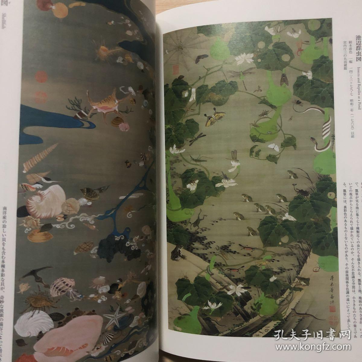 现货 伊藤若冲作品集 日本狩野派绘画大师 日文原版艺术图书