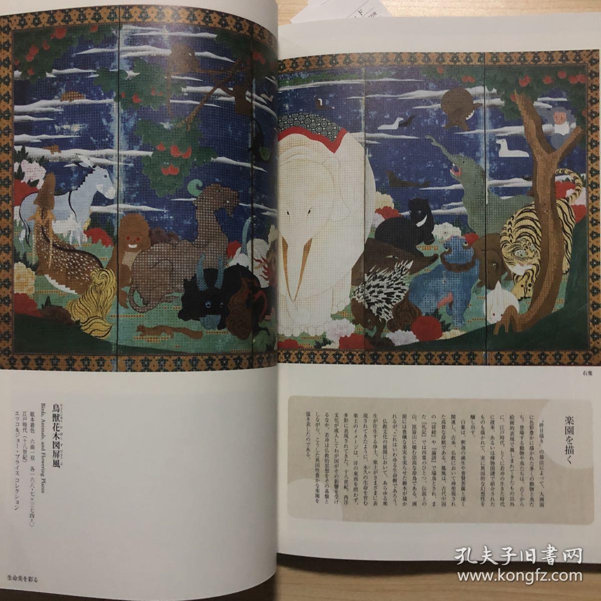 现货 伊藤若冲作品集 日本狩野派绘画大师 日文原版艺术图书