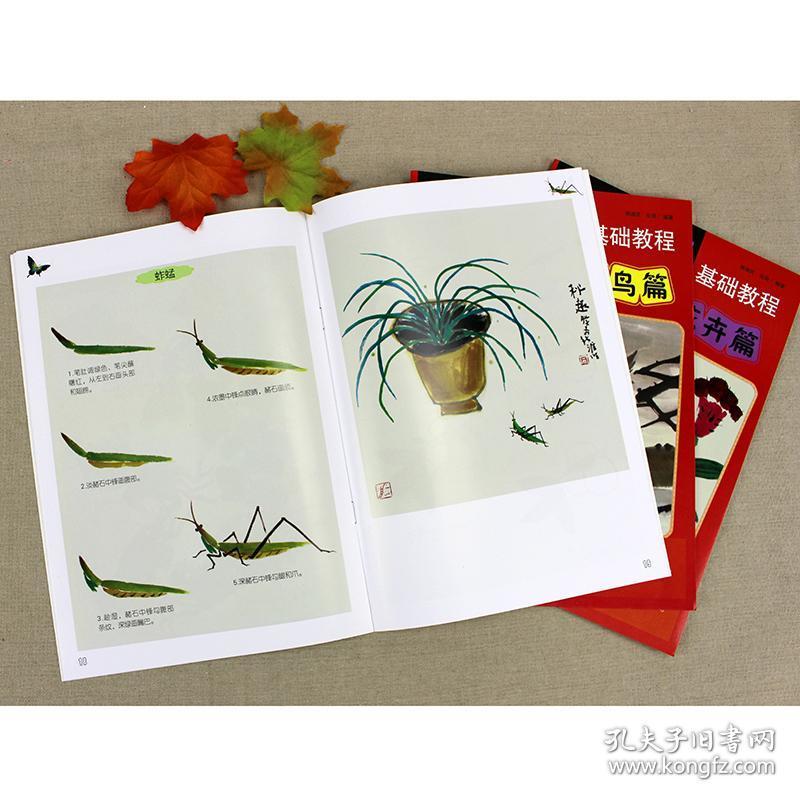 动物画技法画花书少儿国画书花鸟写意临摹书初学者国画入门基础教程书