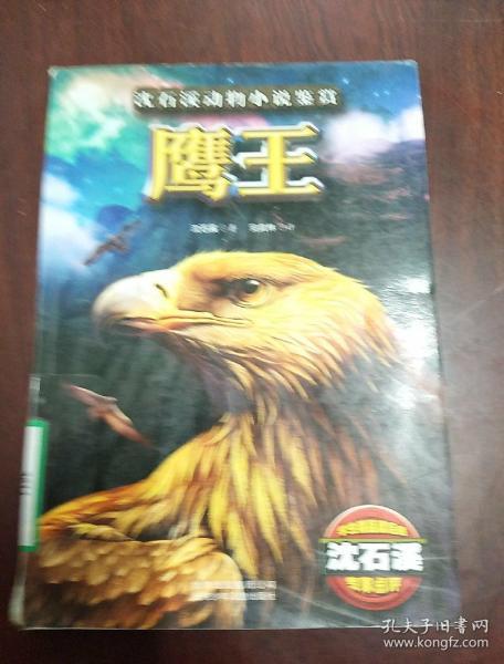 鹰王  