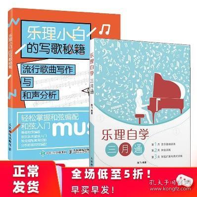 2册作词作曲入门教程 歌词创作技巧写歌乐理书籍 自学乐理基础写歌书
