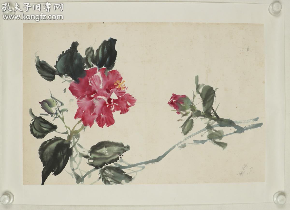 王雪涛弟子,当代著名小写意花鸟画家 金默如 水墨画作品《芍药》一幅