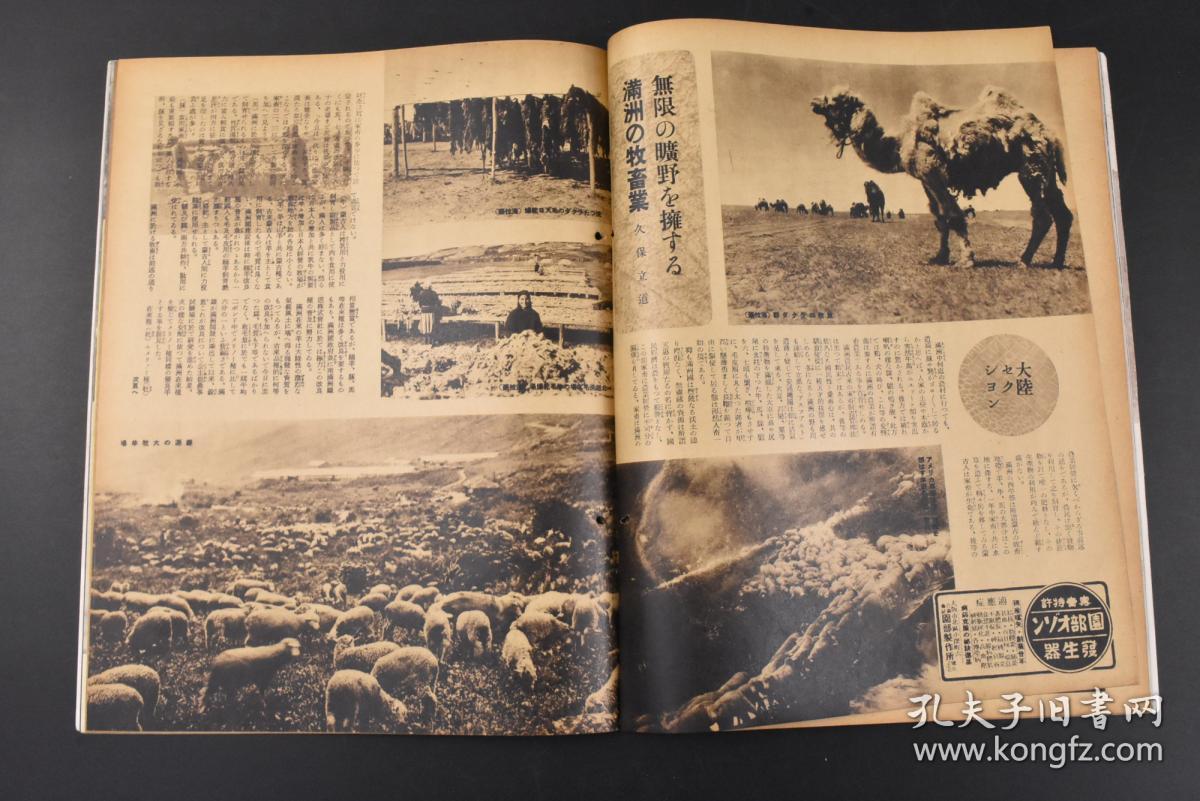 1940年伪满洲国gdp_伪政权邮票 邮票税票(3)