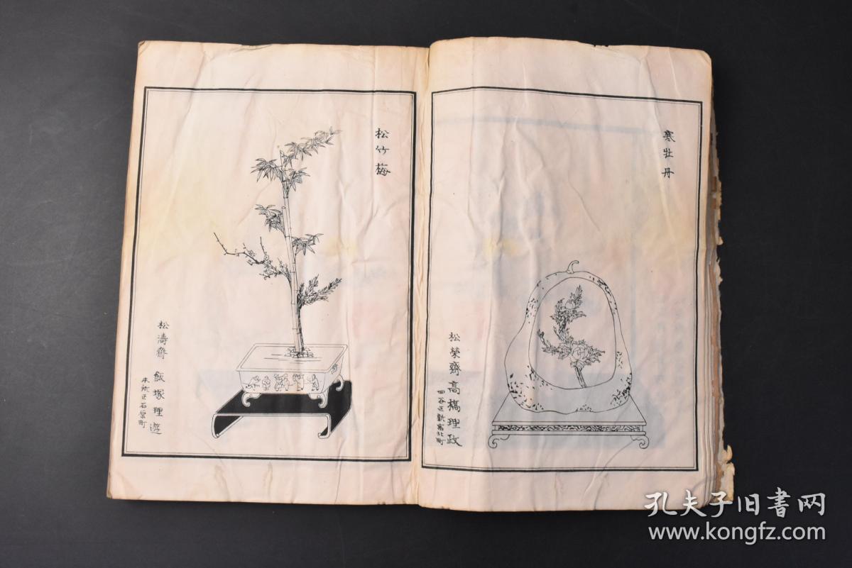 生花简谱_萱草花简谱