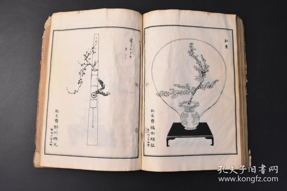 生花简谱_萱草花简谱