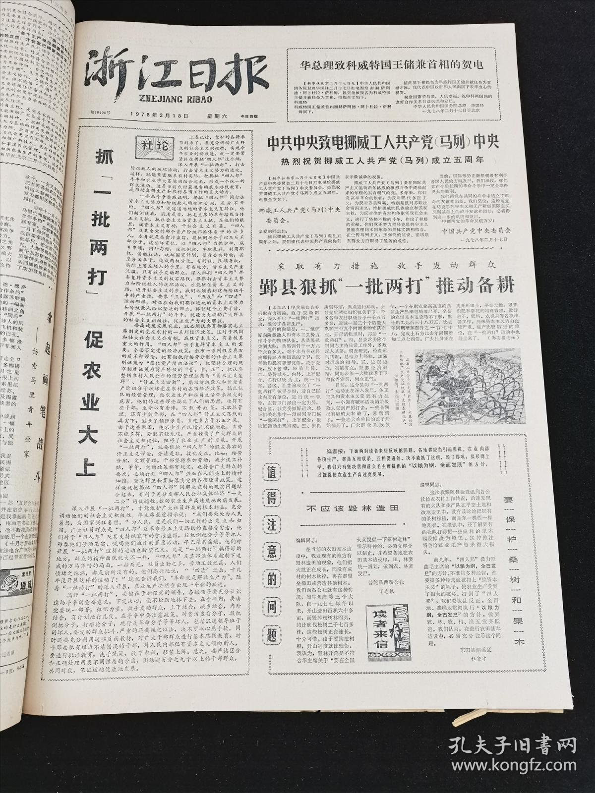 028cace916aa37e0fc_b.jpg