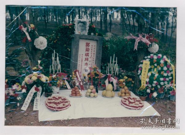 尺寸有大有小,照片后有魏时珍亲笔墨迹(