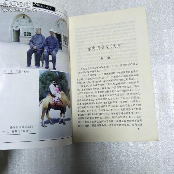 当代中国作家精品精选路遥获奖小说精选人生
