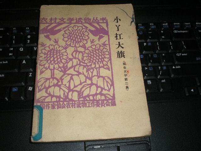 小丫扛大旗〔报告文学第二集