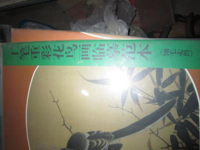 59588kX8S1_b.jpg
