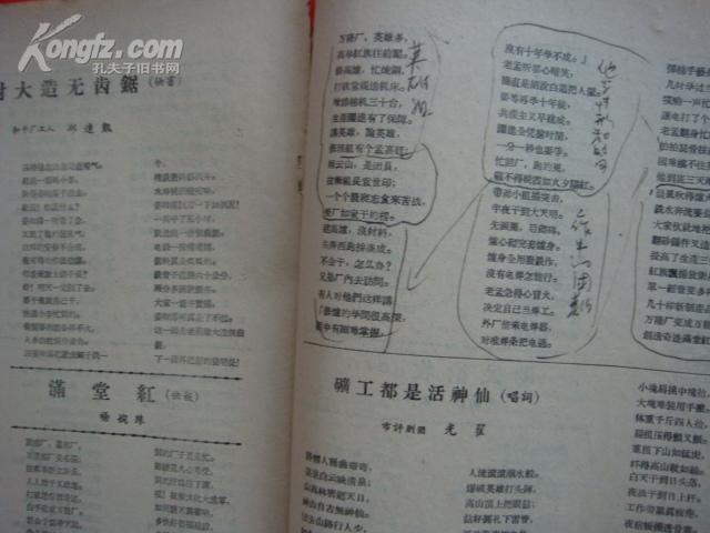 1227072446_3_b.jpg