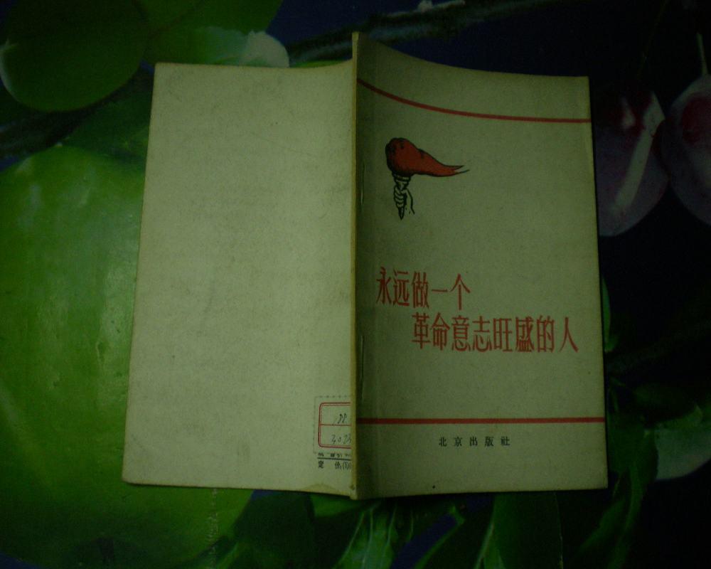 永远做一个革命意志旺盛的人