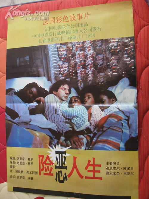 二开电影海报 :险恶人生