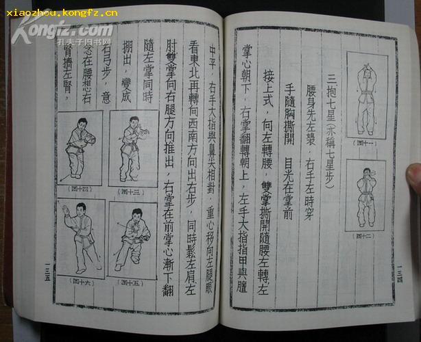 李氏太极拳·五星锤(繁体手书竖版 内部印刷 品好)