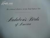Audubon\'s  Birds  of  Americ（Audubon的美洲的鸟）（美国的阿杜本之鸟）（外文画册，特大开本，比8开还大）