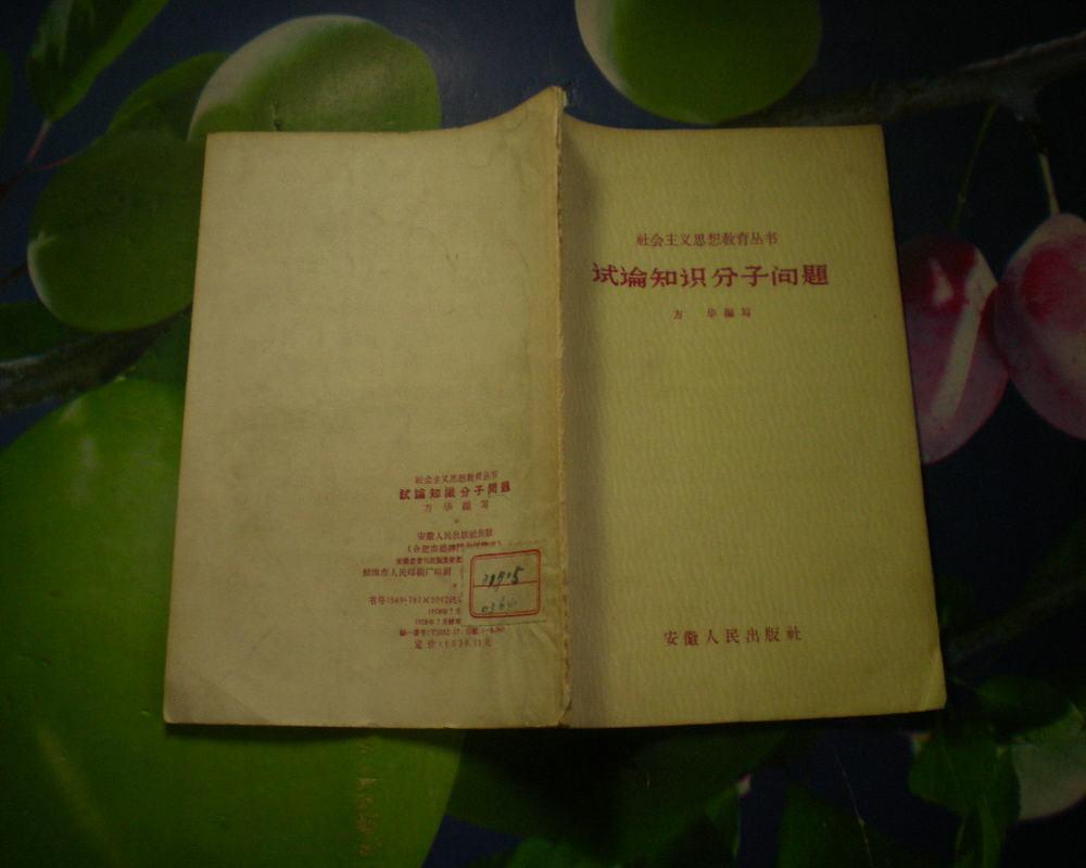 试论知识分子问题社会主义思想教育丛书有水渍