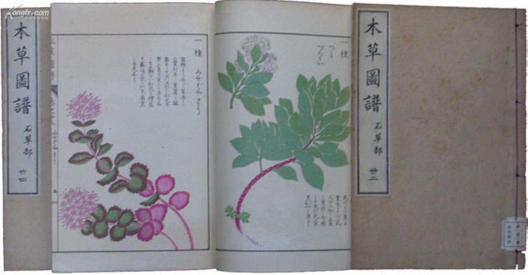 本草图谱(彩色木板植物图鉴,95册全)_岩崎潅园_孔夫子旧书网