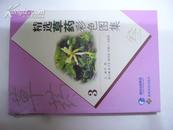 精选草药彩色图集