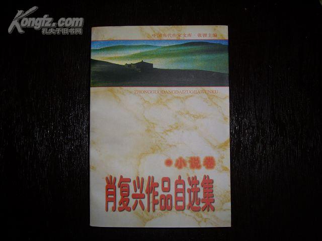 肖复兴作品自选集—小说卷