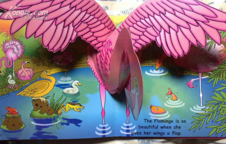 大开本精美立体书10张立体图popupjungle丛林动物