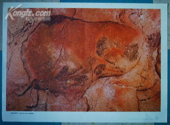 初中课本历史美术作品欣赏外国部分一受伤的野牛西班牙阿尔塔米拉洞窟