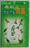 正版 北京野鸟图鉴 北京出版社