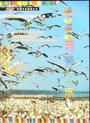 《鸟的王国刚察之旅》青海文化旅游丛书，正版9成新