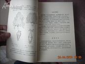 山西省杨树图谱----（85年8月一版一印 。95品。彩色插图40页）
