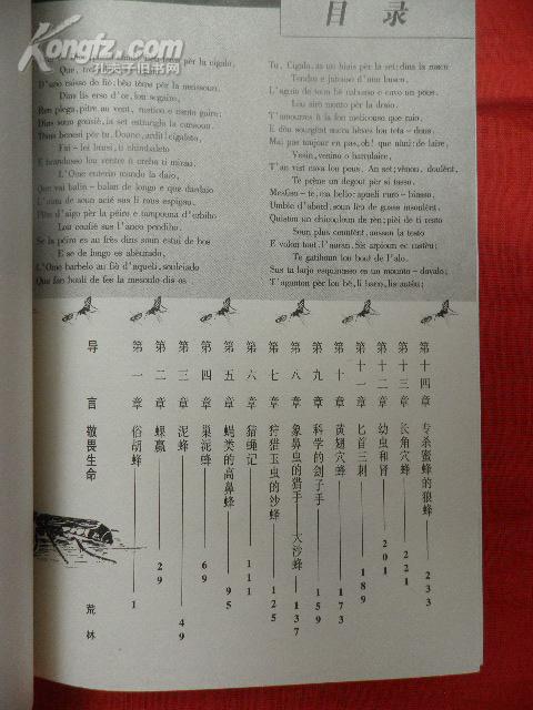 马蜂简谱_被马蜂蛰了的图片(2)