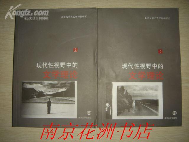 现代性视野中的文学理论(南京大学文艺学专业论文 全2册),，，
