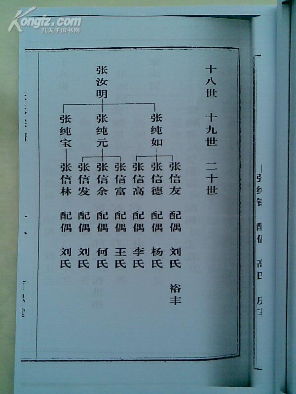 复印件家谱张氏宗谱百忍堂建湖严桥支三卷本16开162页1998年2月续修本