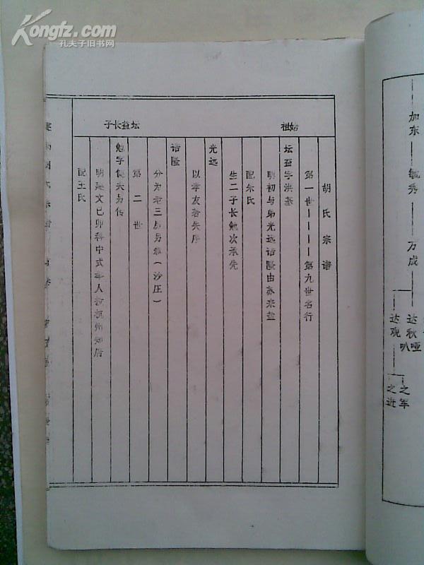 胡氏家谱[安定堂]建湖胡庄 上 下二本 16开 290页 1991年2月续俢 复印