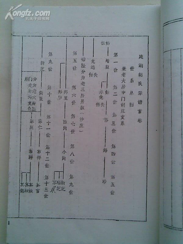 胡氏家谱[安定堂]建湖胡庄 上 下二本 16开 290页 1991年2月续俢 复印