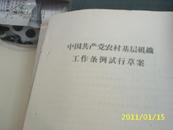 中国共产党农村基层组织工作条例实行草案