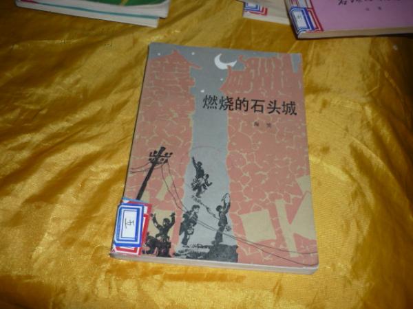 燃烧的石头城插图本
