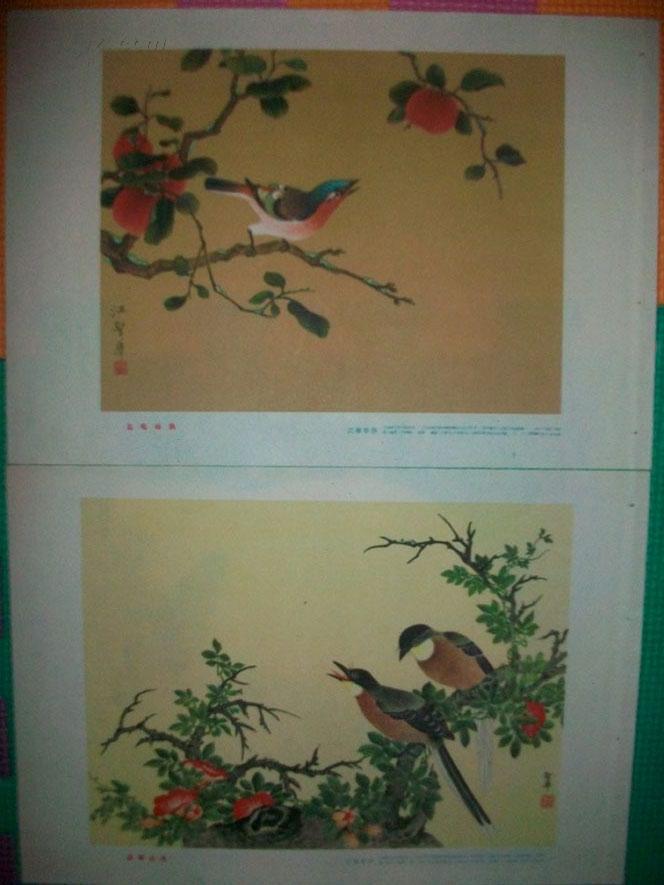 1957年画片（凌霄山雀，江圣华绘画