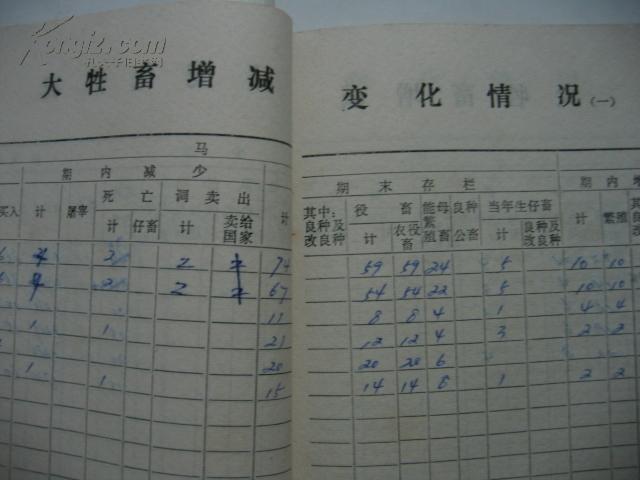 农村统计人口和宅基地_农村宅基地和建房申请(3)