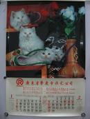 【挂69】1994年 高级胶片挂历  原装原版 挂历尺寸51x76（cm）六幅摄影猫动物图