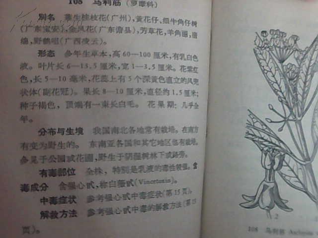 15786Pjtd80_n.jpg